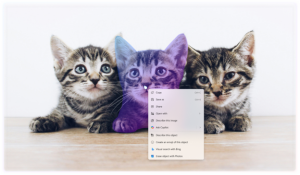 Windows 11 ne bo možno namestiti brez interneta in spletnega profila